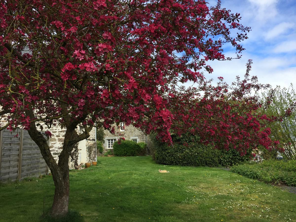 Chambres d'Hôtes Au Clos du Lit Lamballe Extérieur photo